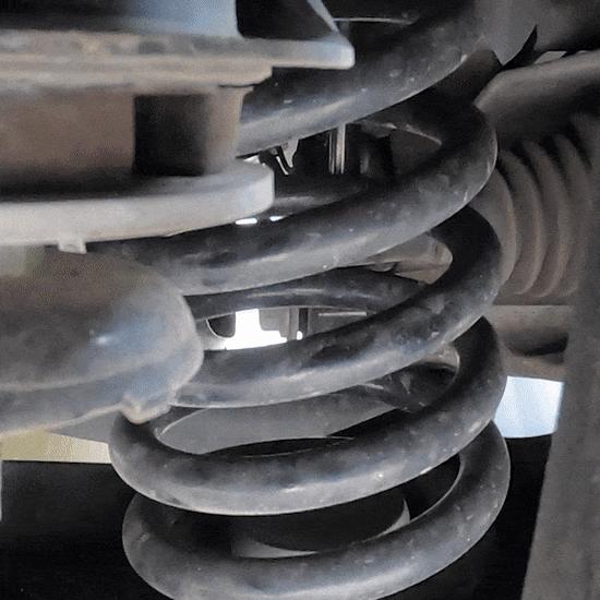 Coil SumoSprings, Set of 2