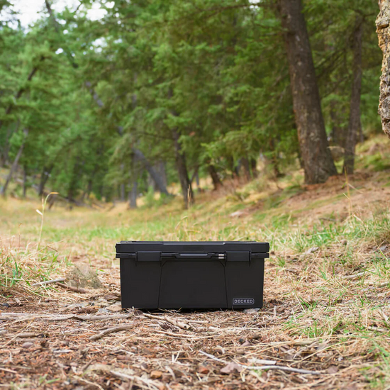 Sixer 16 - D-co Case, Black
