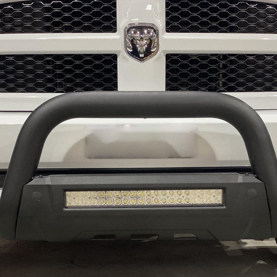 Polished SS Nudge Bar with DBL Row Light Bar