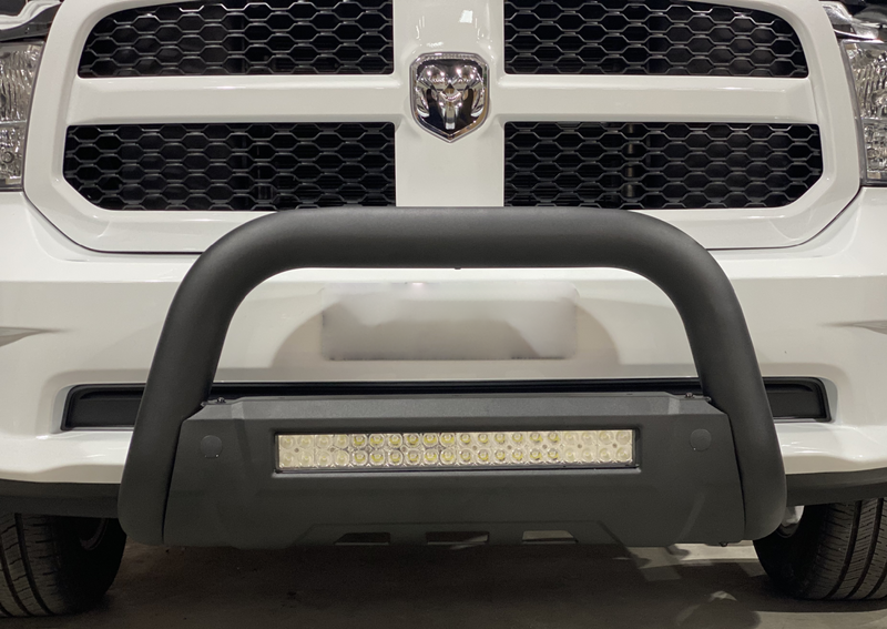 Polished SS Nudge Bar with DBL Row Light Bar