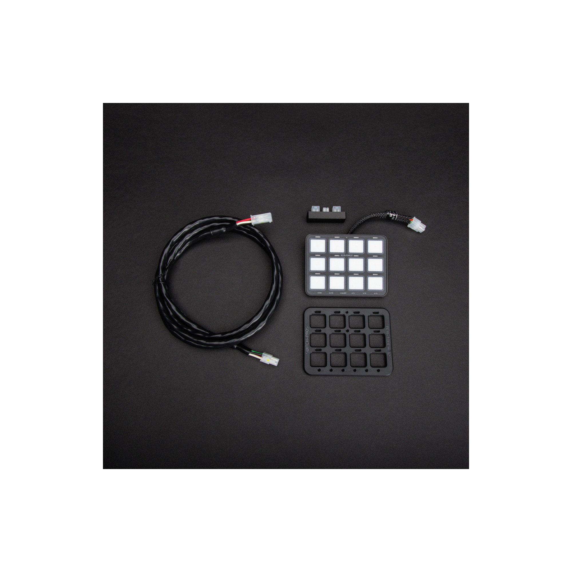 12 Switch Slave Panel with 6m (20') Cable for RCR-Force | Switch-Pros ...