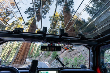 Enhanced Natural Light