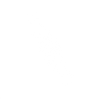 PREMIUM SUSPENSION