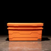 Decked Australia Payloader 133 Blazed Orange 2-Pack