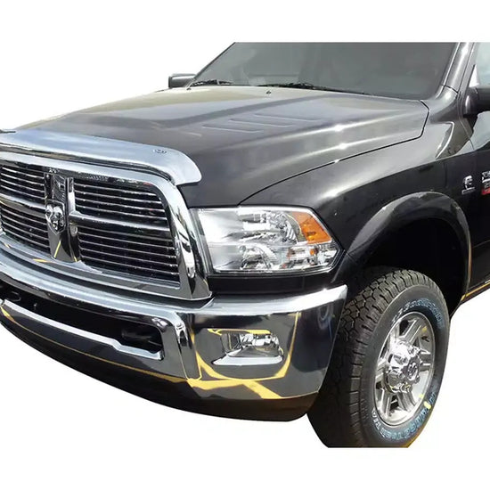 Bonnet Protector/Bug Shield, Chrome