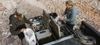 Drawer System + Premium Accessory Pack