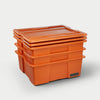 Decked Australia Payloader 32 Blazed Orange 3-Pack